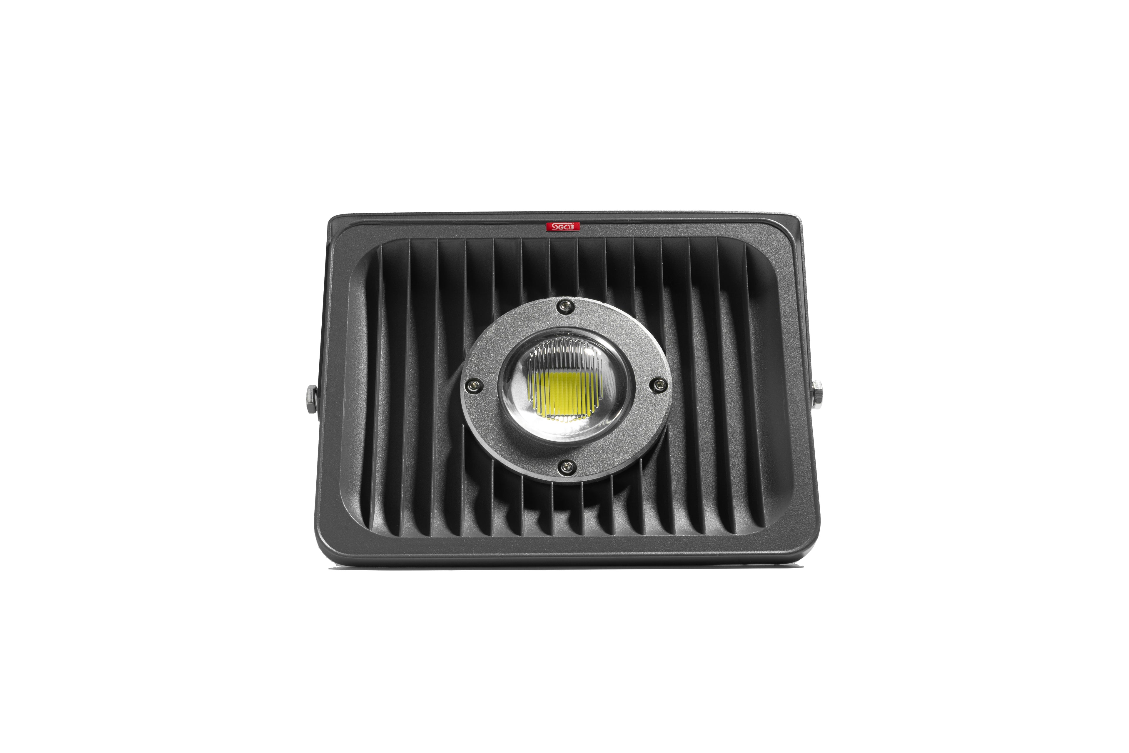 SGCB LED Detailing Light