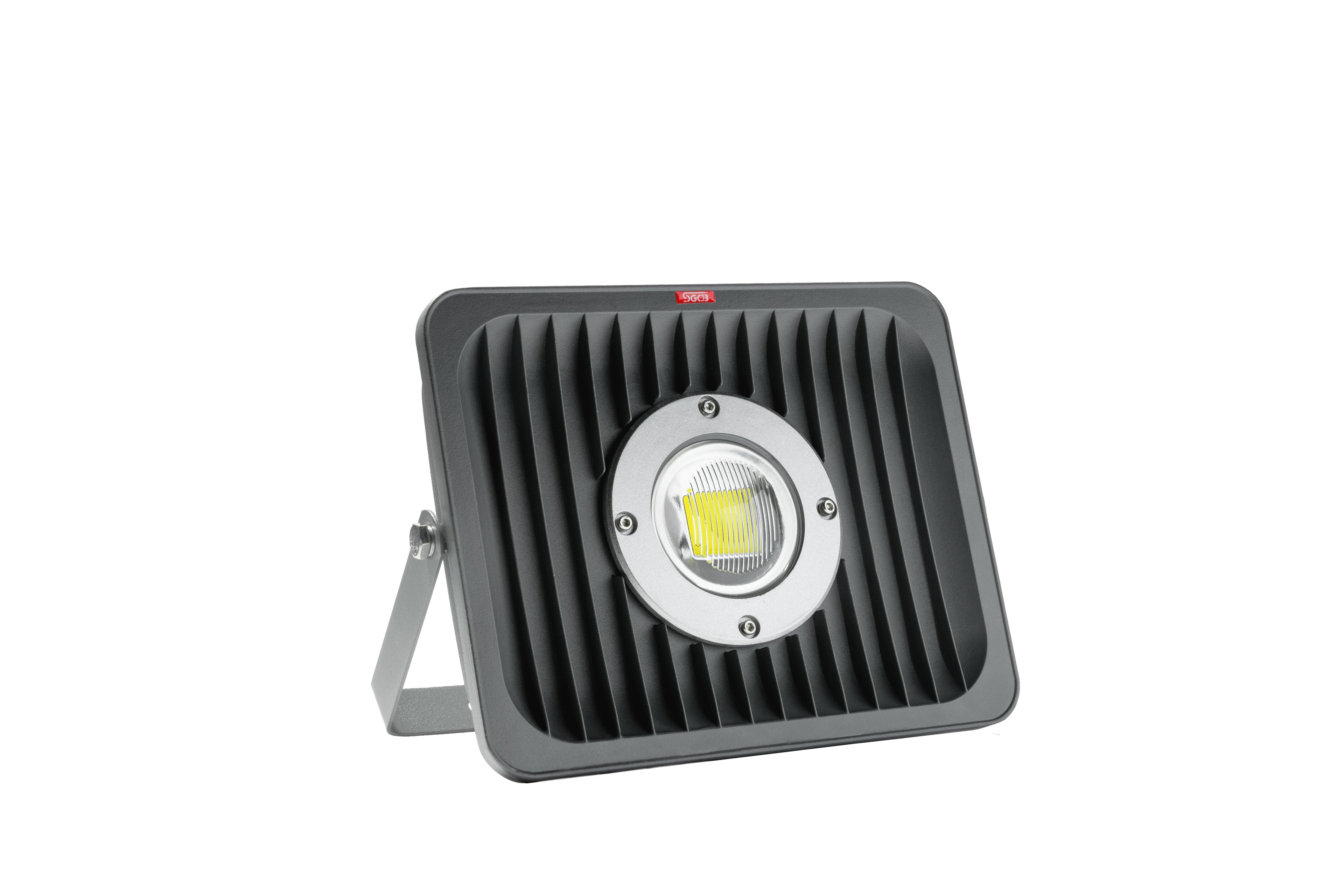 SGCB LED Detailing Light