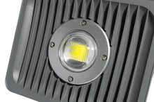 SGCB LED Detailing Light