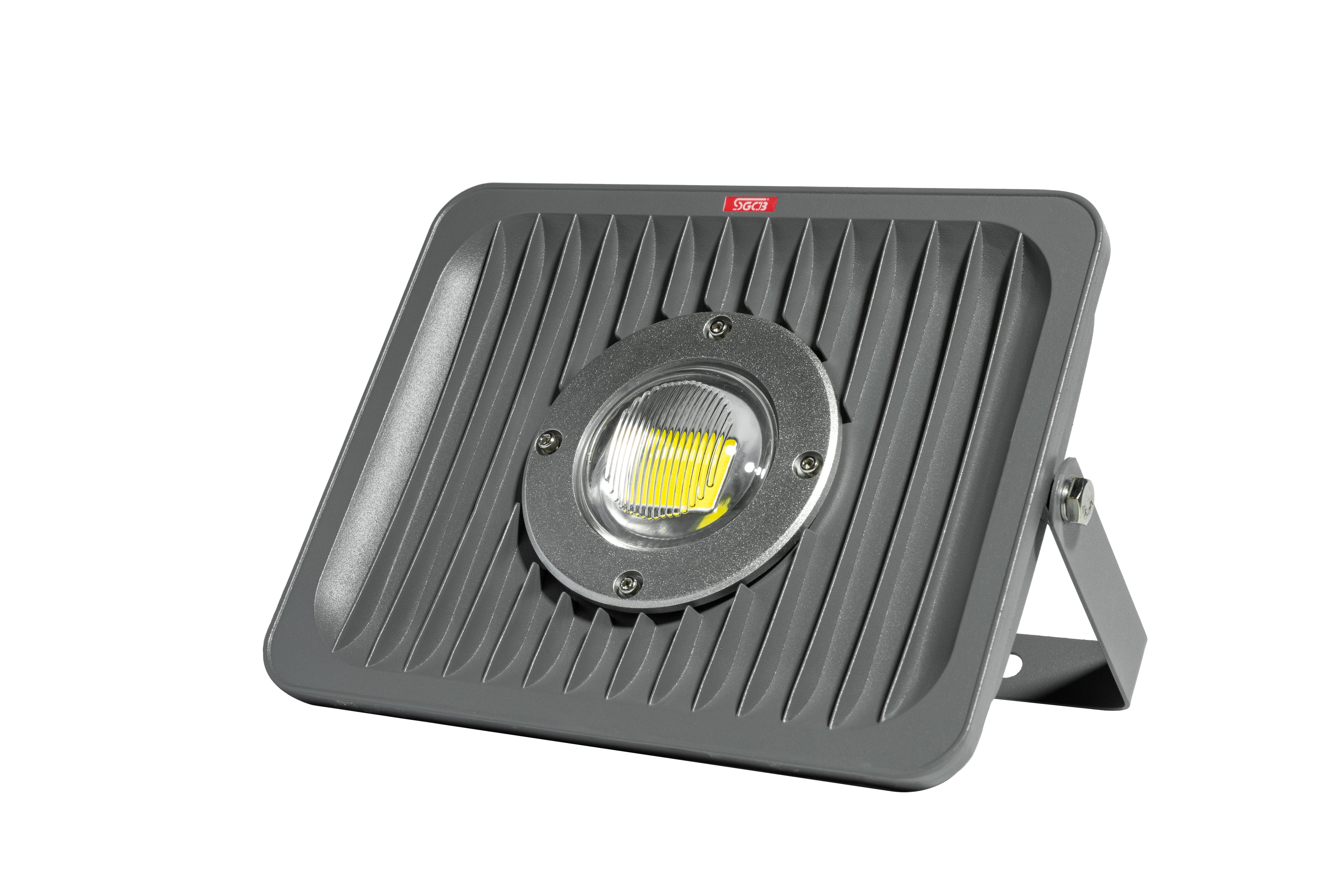 SGCB LED Detailing Light