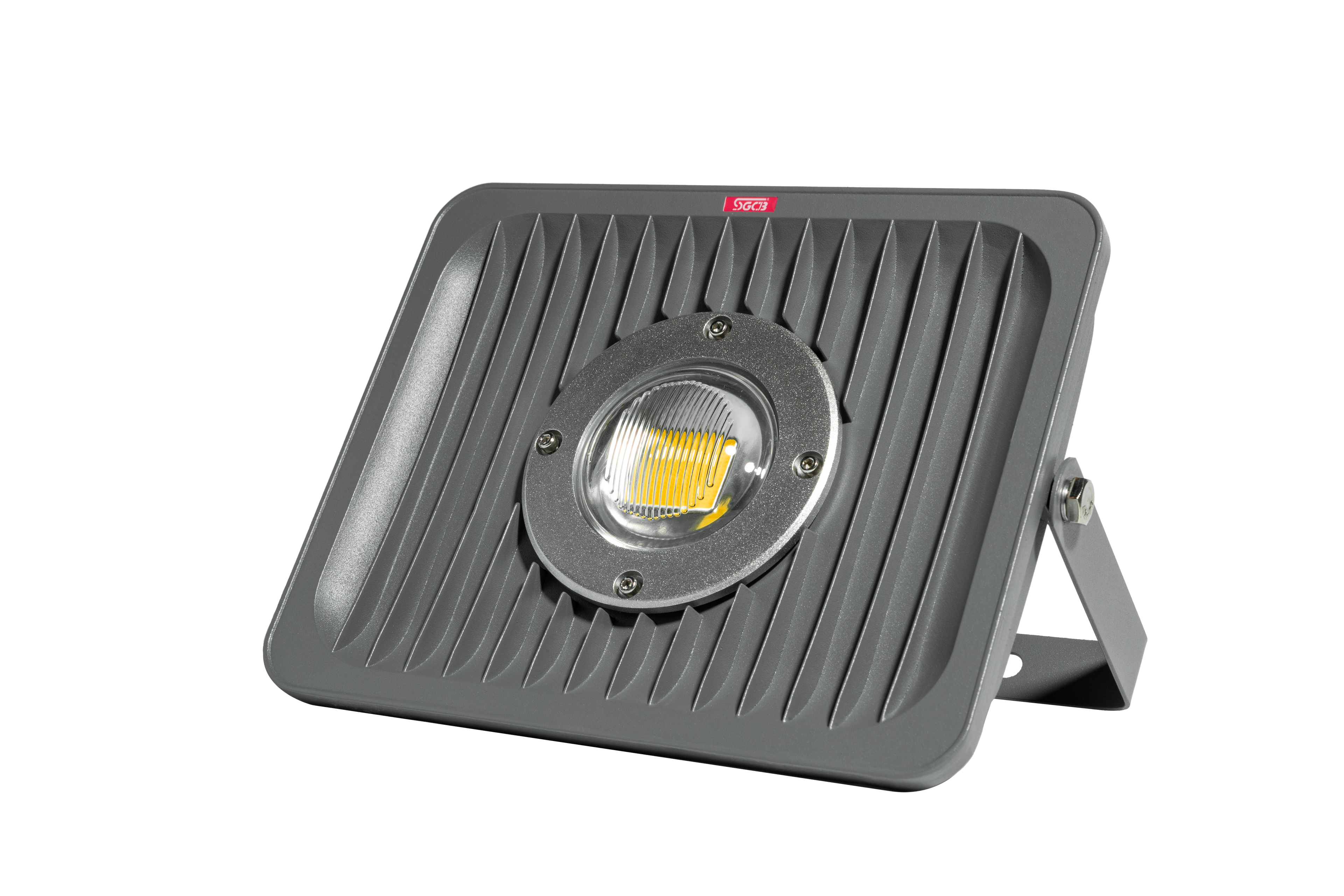 SGCB LED Detailing Light