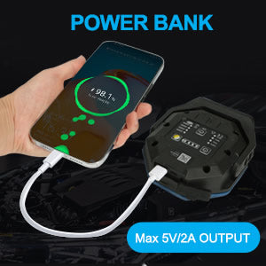 NextLED NT-1010UV Rechargeable Color Matching UV Floodlight