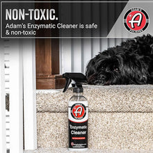 Adam's Polisher Enzymatic Cleaner 16oz